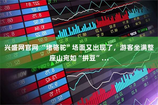 兴盛网官网 “堵骆驼”场面又出现了，游客坐满整座山宛如“拼豆”…